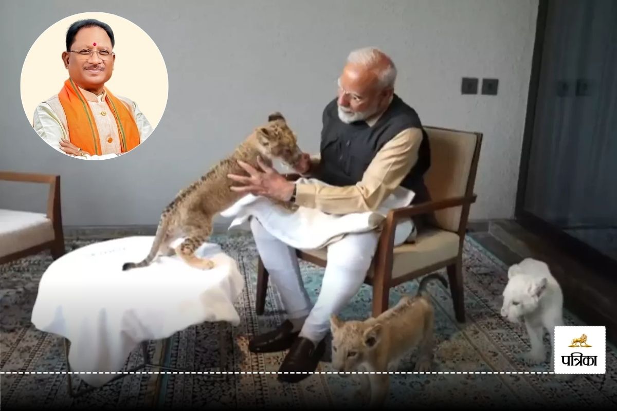 PM Modi Video: पीएम मोदी ने शेर के बच्चे को पिलाया दूध, गोद में बैठाया, CM साय
ने की तारीफ…