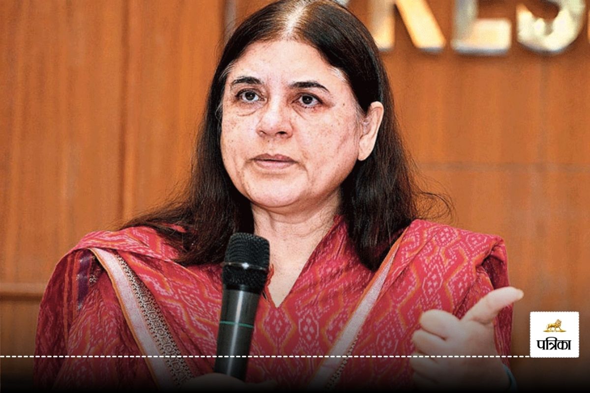 CG News: पत्रिका से बातचीत में मेनका गांधी ने चिंता जाहिर की, बायसन की मौत पर उठाए सवाल