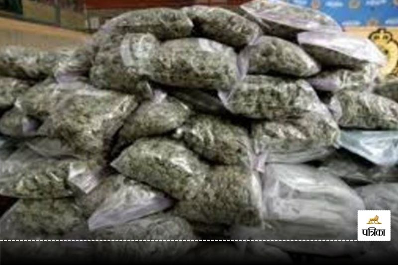9 किलो गांजा तस्करी मामले में तीन आरोपी दोषी, 7-7 साल सश्रम कारावास और जुर्माने की सजा(photo-patrika)