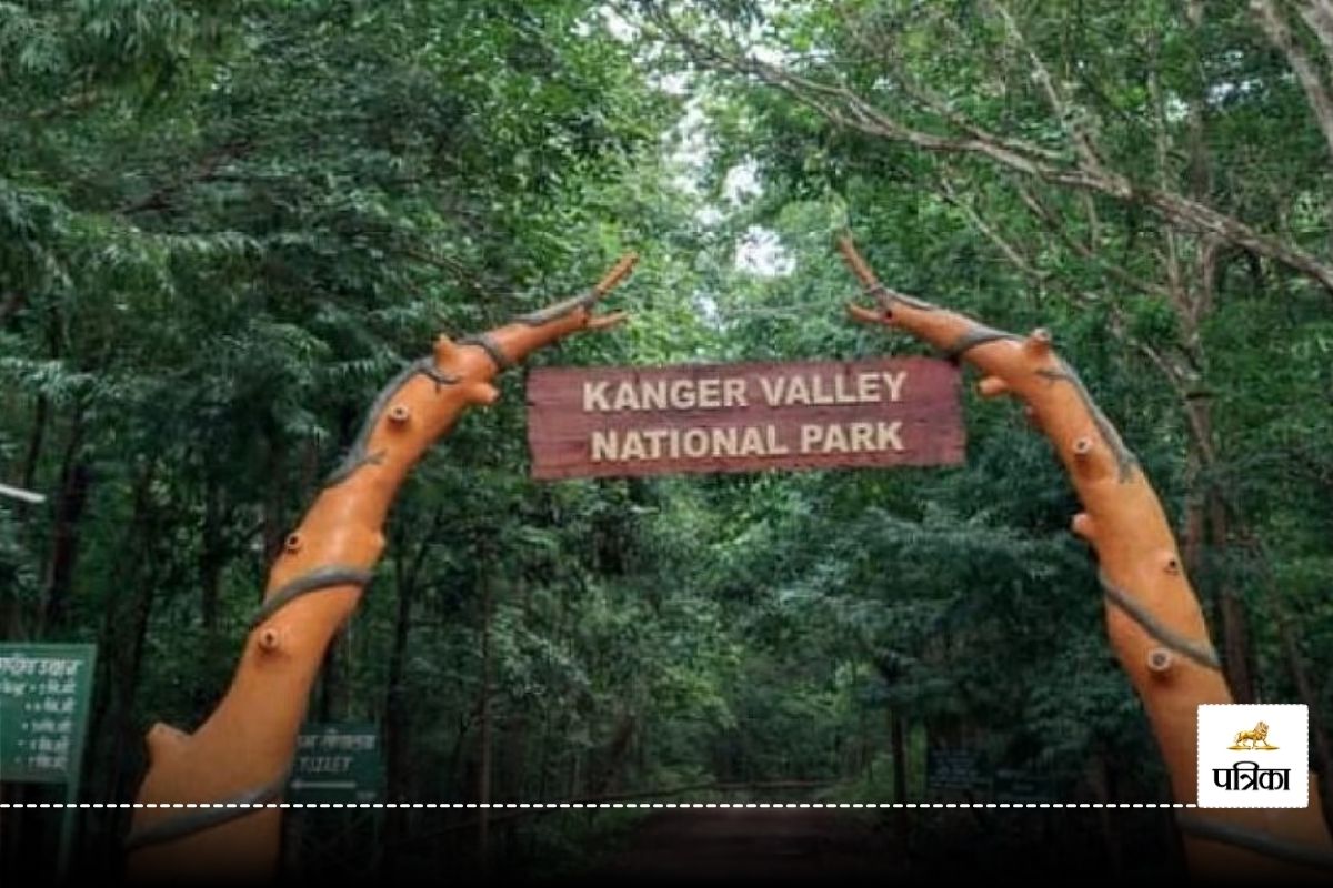 Kanger Valley National Park: कांगेर वैली यूनेस्को की अस्थायी सूची में शामिल,
वित्त मंत्री चौधरी बोले – प्रदेश के लिए ऐतिहासिक पल..