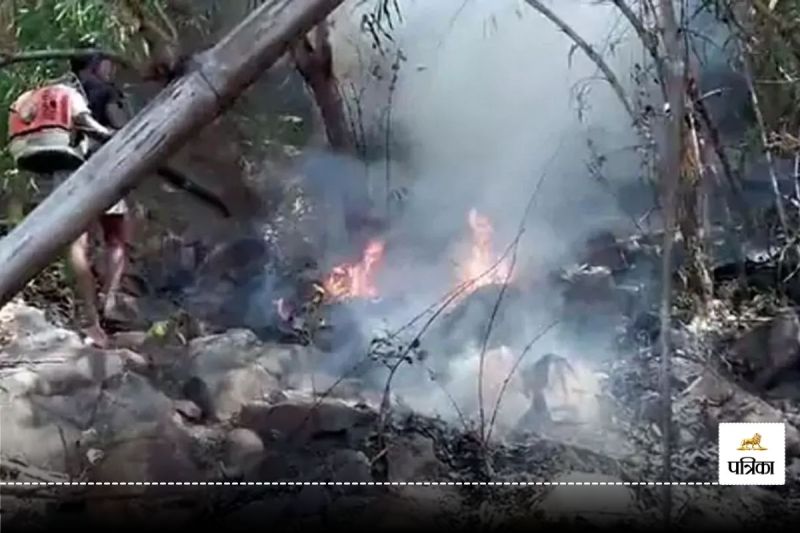 Raigarh News: रायगढ़ के पहाड़ पर आग का तांडव! दूर-दूर तक नजर आई लपटें, वन विभाग में मचा हड़कंप