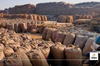 CG Dhan Kharidi: छत्तीसगढ़ में धान खरीदी का महाअभियान तेजी के साथ जारी, अब तक 22.25 लाख मीट्रिक टन धान की हो चुकी है खरीदी