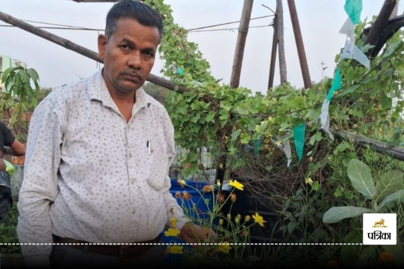 छत्तीसगढ़ के किसान सालों से कर रहे जंगली पीला गेंदा को संरक्षित, 9 साल बाद मिला पेटेंट, जीनोम पुरस्कार से हो चुके हैं सम्मानित