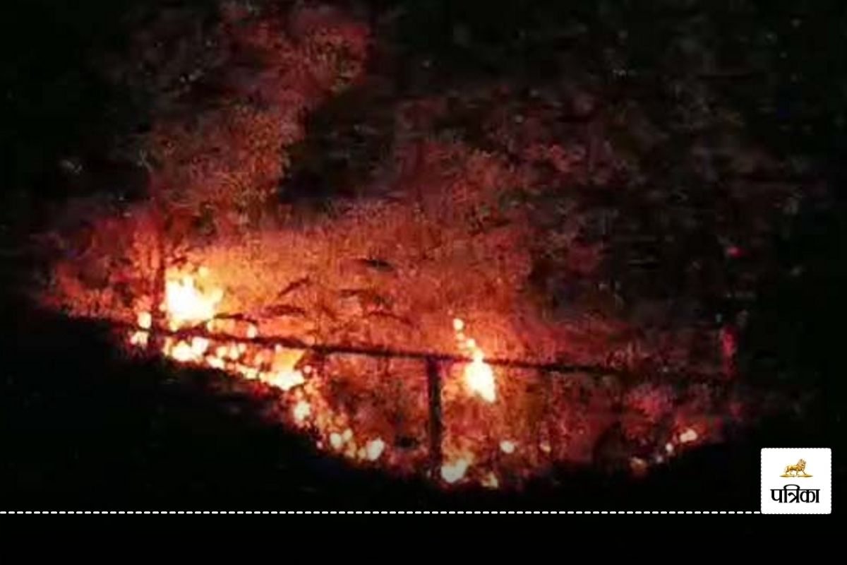 CG News: रामपुर पहाड़ी में लगी भीषण आग, दूर तक नजर आईं लपटें, काबू पाने मौके पर पहुंचा अमला