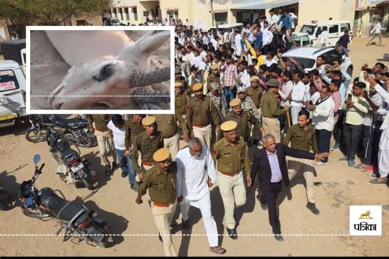 Rajasthan Bikaner Deer Hunting Eyewitness Animal Lover Said Punjab Hunters Shot Deer in Front of My Eyes