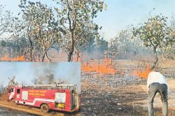 लगातार दूसरे दिन भी दावानल: आग से धधके जंगल, 40 से 50 हेक्टेयर में मौजूद
पेड़-पौधे जलकर खाक - image