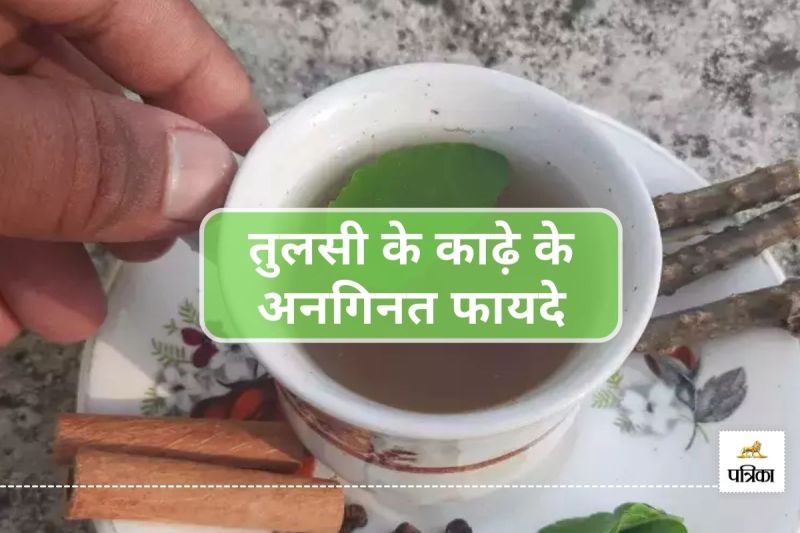 Tulsi kadha Boost Your Immunity Naturally Remedy for Infections Drink Tulsi Decoction Daily