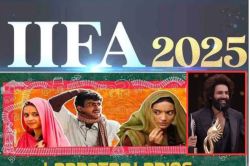 IIFA Awards 2025 Winners List: ‘लापता लेडीज’ ले गई आधे से ज्यादा अवॉर्ड, कार्तिक
आर्यन को मिला जानें कौन सा खिताब - image