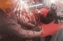 कुशीनगर में चोरों का तांडव…खिड़की तोड़कर घुसे घर में, भाइयों पर धारदार हथियार से
हमला…पीछा करने पर दूसरे भाई को मारे गोली - image