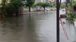 बारिश और ओलावृष्टि से जनजीवन प्रभावित, आज और कल सर्द हवाएं चलने की संभावना - image