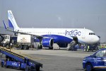 indigo flight