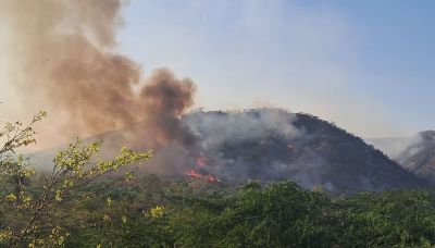 Short video poster image