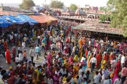 Kailadevi Lakkhi Fair के श्रद्धालुओं के लिए आई बड़ी खुशखबरी, कलक्टर ने जारी किए
आदेश, ठहरने के लिए सरकारी भवनों में होगी व्यवस्था - image