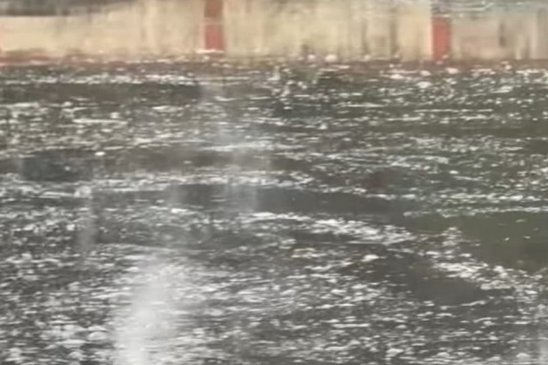 Chemical in river: कन्हर नदी में जहरीला रासायनिक पदार्थ डालकर हर दिन मार रहे मछलियां, यहां का पानी भी पीते हैं लोग