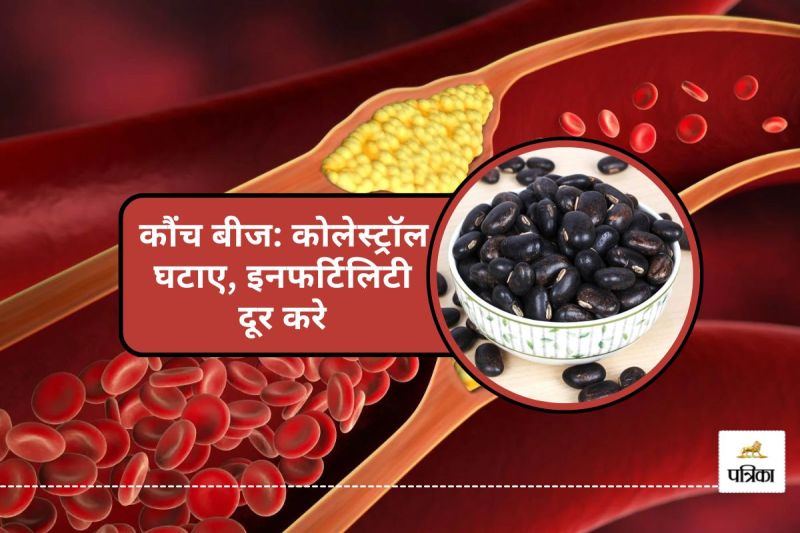 5 Incredible Health Benefits of Kaunch Beej for reducing Cholesterol Boost Fertility Diabetes to Heart Health