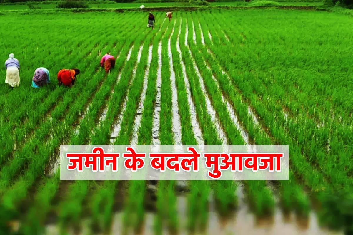 MP Farmers land