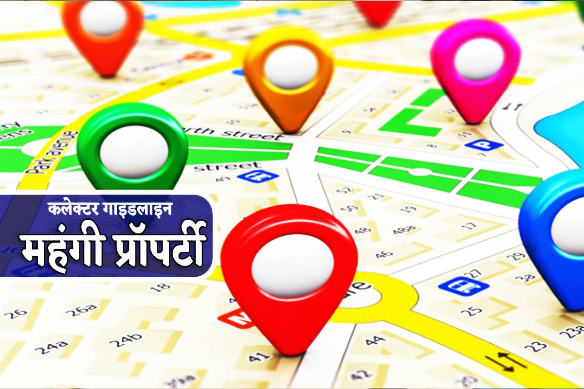 MP New Collector Guideline