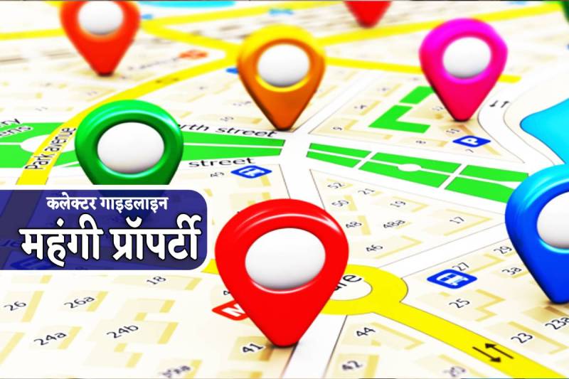 MP New Collector Guideline