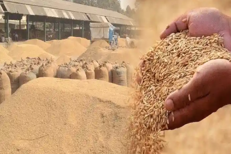 CG Dhan Kharidi: एग्रीस्टेक पोर्टल पर किसानों का पंजीयन जारी, शिविरों में कराया जा रहा अपडेट...(photo-patrika)