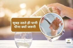 Morning water benefits : सुबह उठते ही पानी पीना क्यों जरूरी? दिमाग से इसका अनोखा
कनेक्शन - image