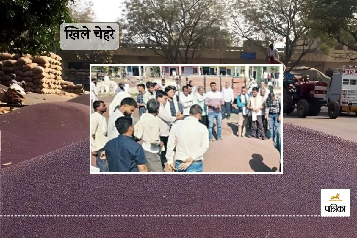 Rajasthan Hindaun City Mandi 25 thousand Mustard Bags Arrived Business of 6 Crore Rupees Done Farmers and Traders Happy