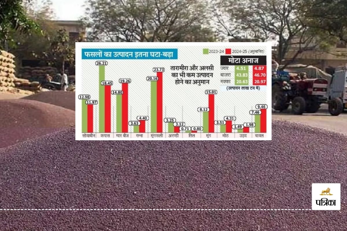 राजस्थान में इस बार घटेगा सरसों का उत्पादन, बढ़ सकते हैं खाद्य तेल के दाम, कृषि
विभाग की आई रिपोर्ट