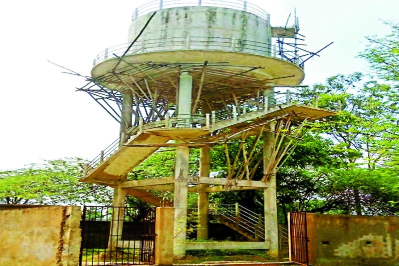 cg news cg hinhi news