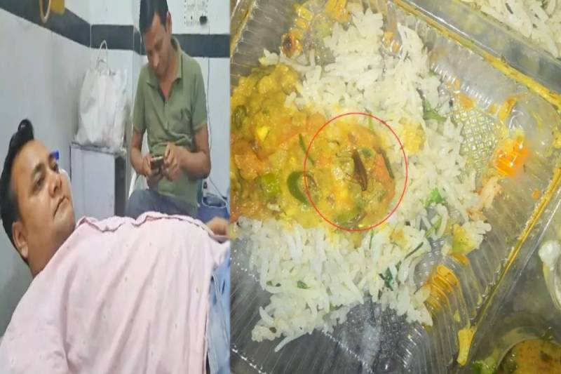 Cockroach found in food