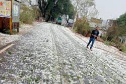 एमपी के बुंदेलखंड में भारी ओलावृष्टि, किसानों पर टूटा कुदरत का कहर - image