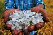 Rain Hail