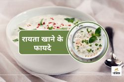 Raita Khane Ke Fayde : पाचन की समस्या दूर भगाएं, गर्मियों में रोजाना खाएं रायता,
जानिए 5 फायदे - image