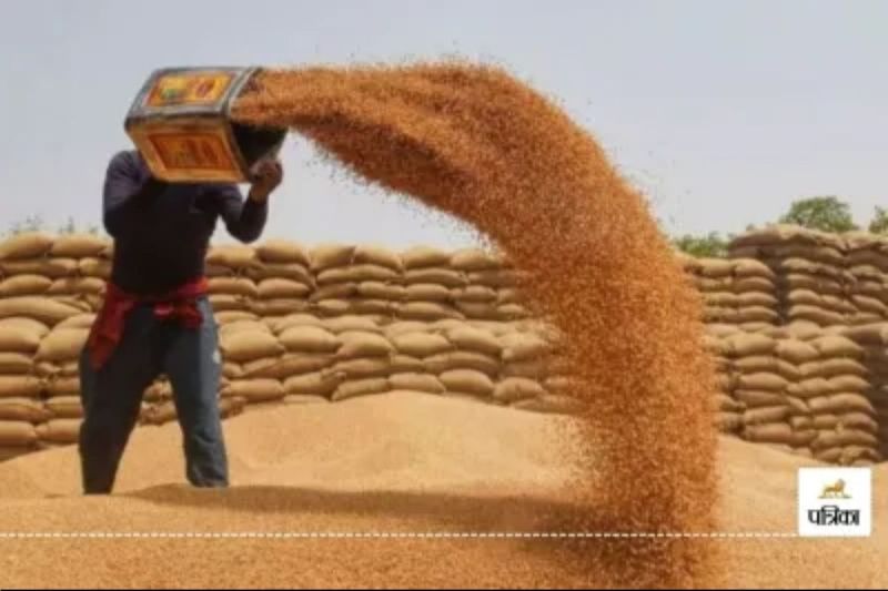 Rajasthan Farmers Very Happy Central Government has given a Big Relaxation in Wheat Purchase Rules