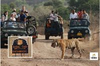 Ranthambore