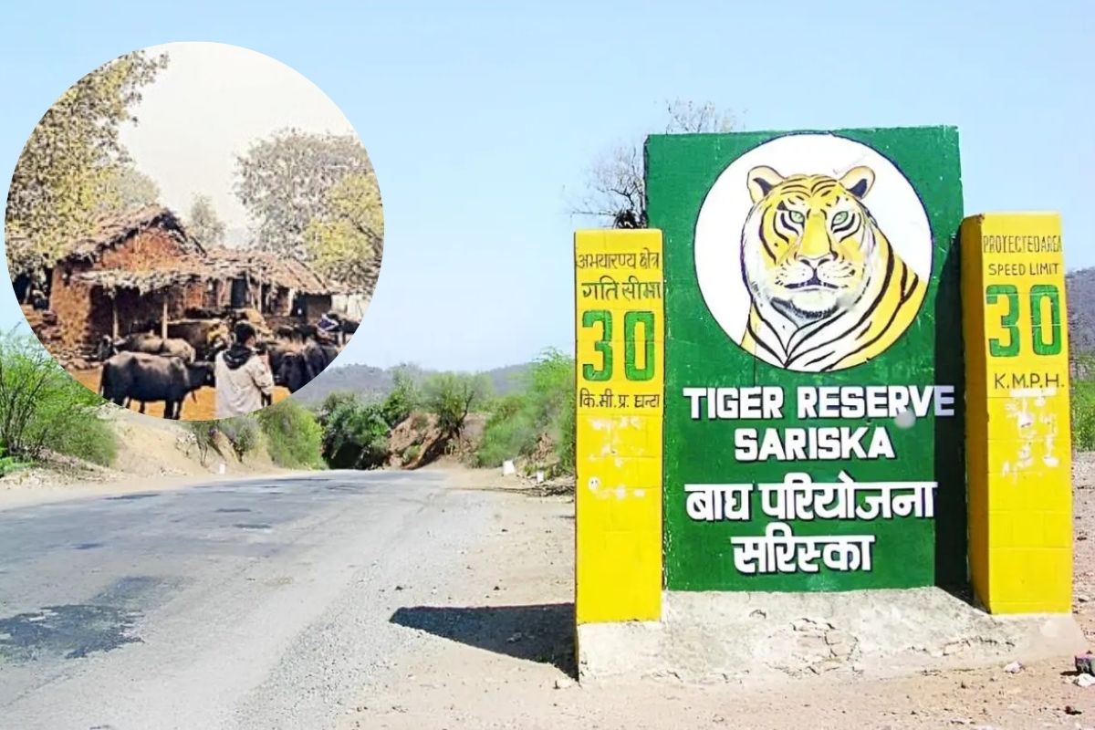 Sariska: 16 साल बाद सरिस्का के इन 6 गांवों लिए आई अच्छी खबर, सरकार ने मुआवजा
बढ़ाने का लिया फैसला