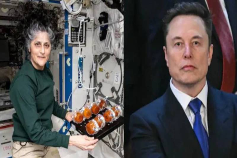 Sunita Wiliams and Elon musk