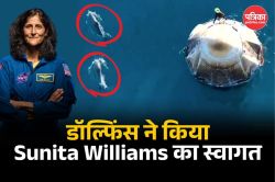 Sunita Williams का डॉल्फिंस ने किया ग्रैंड वेलकम, देखें खूबसूरत वीडियो - image