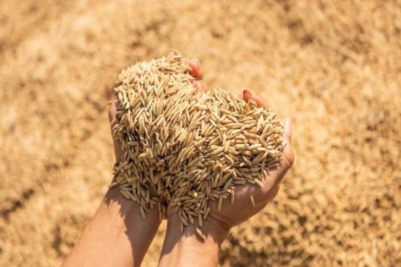 लखनऊ में हुई बैठक, डीएसआर को बढ़ावा देने के लिए विशेषज्ञों ने साझा किए विचार