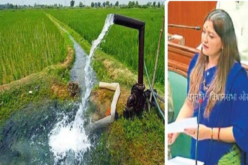 बैगा किसानों को सिंचाई के लिए नहीं मिल पा रहा पानी, पंडरिया विधायक भावना बोहरा ने उठाया मुद्दा...