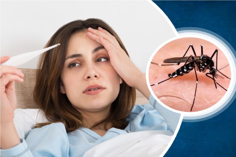 डेंगू के बढ़ रहें मरीज, लक्षण एवं बचाव को लेकर जारी की गई एडवाइजरी, जानें..