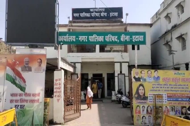 Sparrows are an important part of our lives and they are wonderful gifts of nature