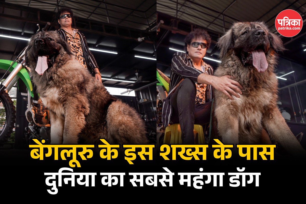 World's Most Expensive dog