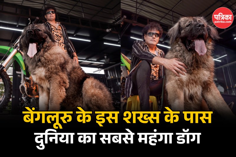 World's Most Expensive dog