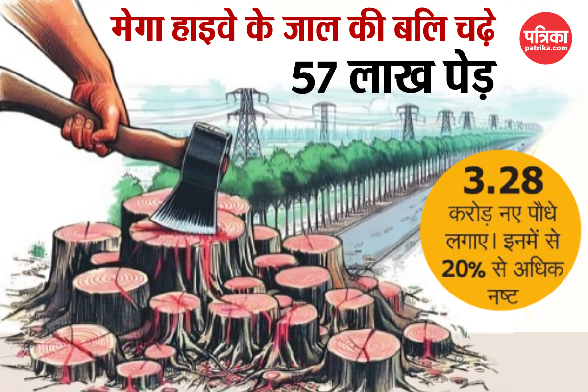 पांच साल में 57 लाख पेड़ों चली कुल्हाड़ी