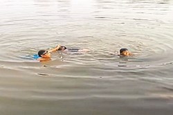 CG News: दोस्तों के साथ पिकनिक मनाने गया था युवक, शिवनाथ नदी में डूबने से मौत - image