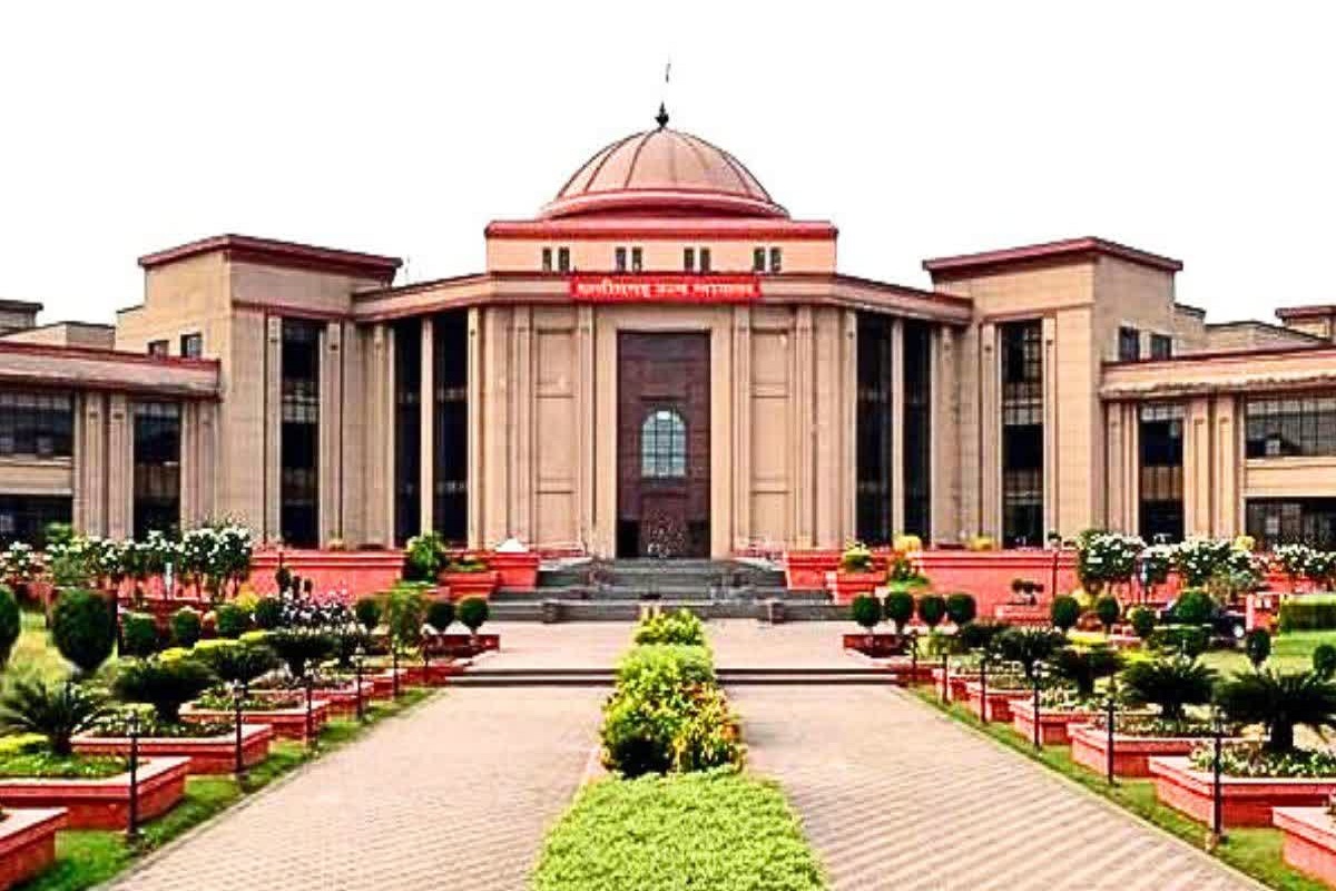 ऑनलाइन चाकू खरीद-बिक्री करने वालों पर हाईकोर्ट सख्त, कहा- दोषियों पर जल्द कार्रवाई करें...(photo-patrika)