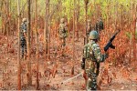 CG News: बीजापुर–दंतेवाडा के सरहदी जंगल में फिर हुई मुठभेड़, चार नक्सली ढेर