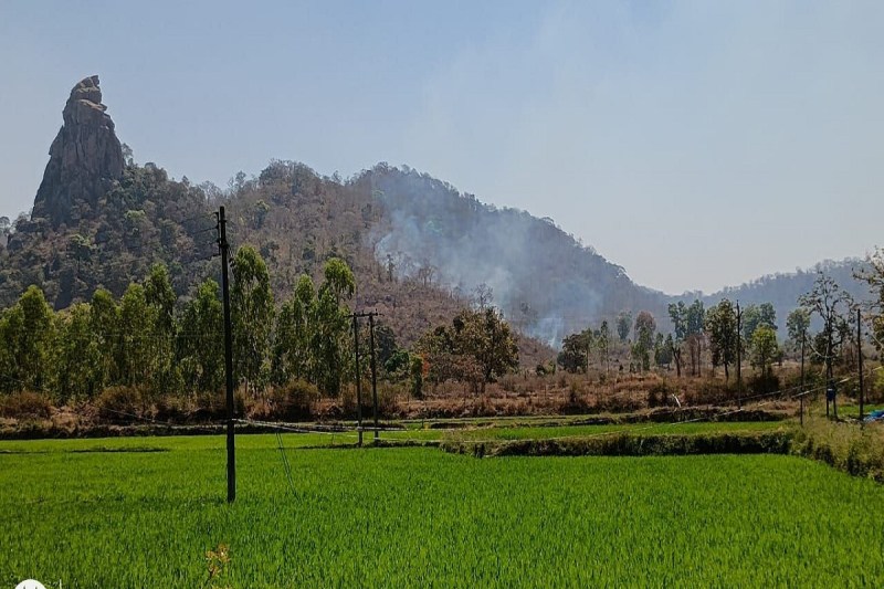 Dhamtari News:सिहावा के जंगल में लगी भीषण आग, दूर से नजर आ रहा धुएं का गुबार