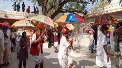 Video: मारवाड़ की संस्कृति साकार, थिरके गेरिये - image