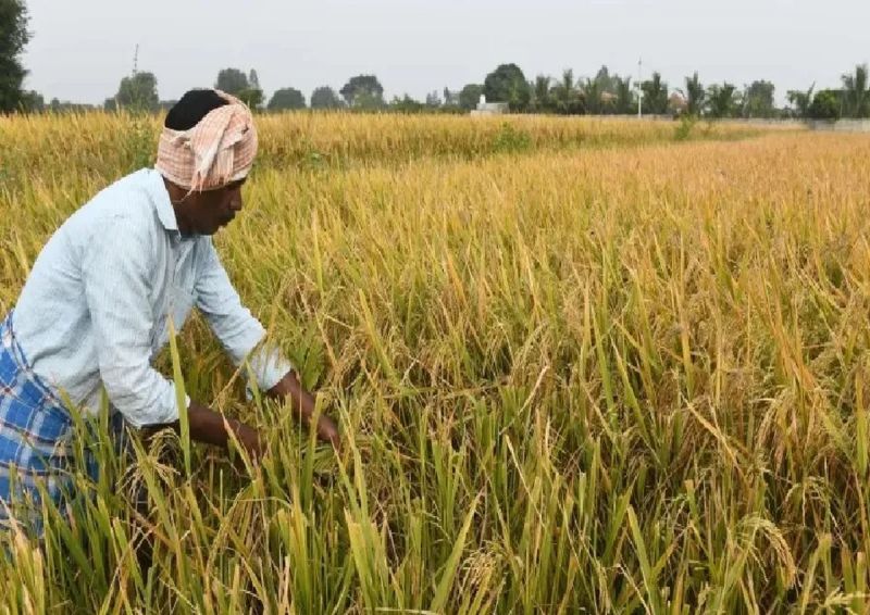 परियोजना के माध्यम से कृषकों को ङ्क्षसचाई जल के समुचित उपयोग की जानकारी के साथ ही छोटेे कृषकों के जीवन स्तर के सुधार के लिए अनुदान पर लाभान्वित किया जा रहा है।