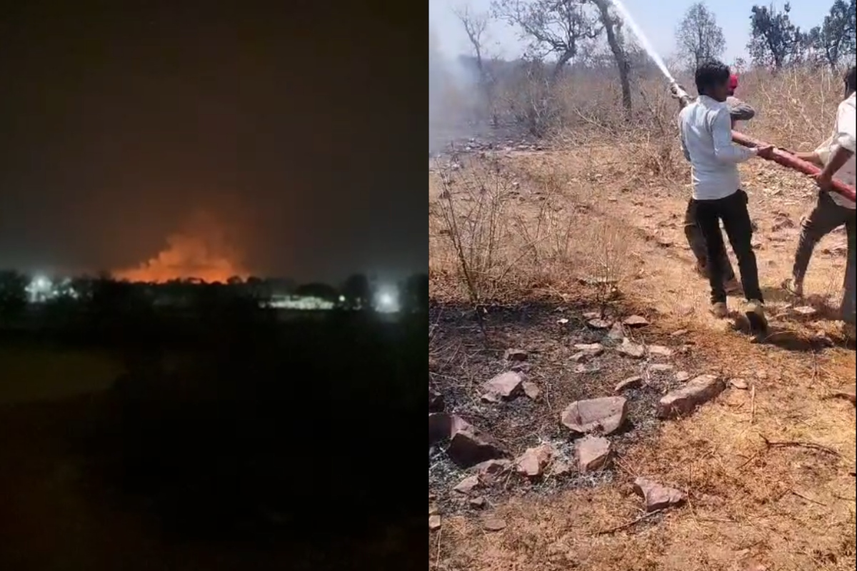 Massive Wildfire Engulfs 175 Hectares on Rajasthan-MP Border